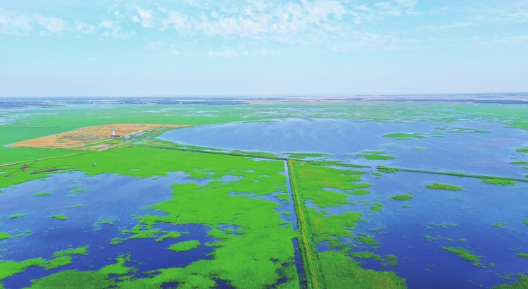 “河湖长制”让瀚海明珠“长治久清”——白城市全面推行河湖长制工作综述