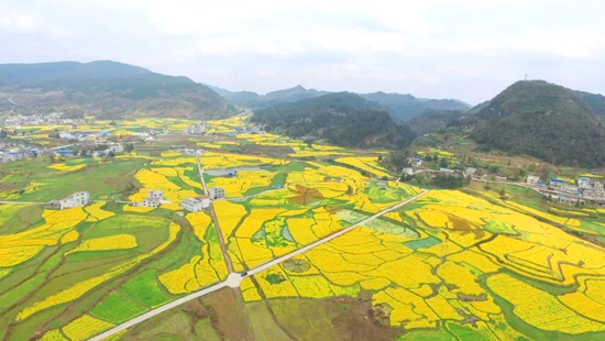 贵州都匀：扮靓乡村景色 推进乡村振兴