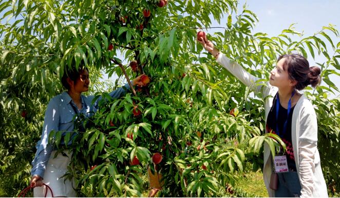 【城市远洋】重庆：油菜花带火的马灌镇又有了新目标