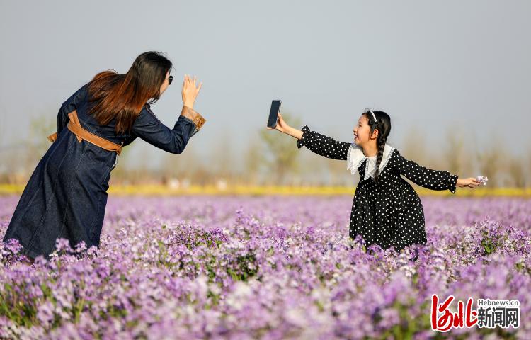 河北衡水：出游踏青享春光