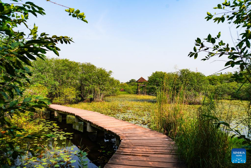 View of Beddagana Wetland Park in Sri Lanka_fororder_3