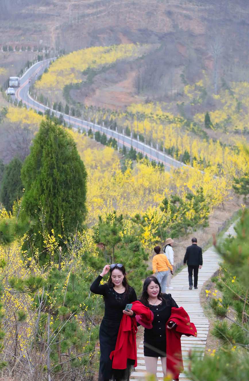 三门峡卢氏：花开春意浓 乡村入画来