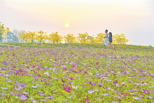 春暖花开处处景