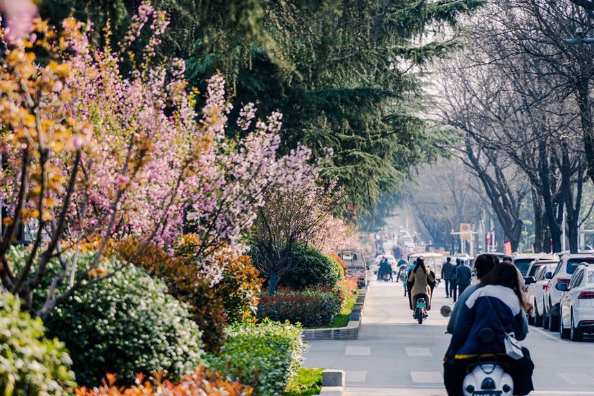 河南汝阳：繁花似锦满眼春