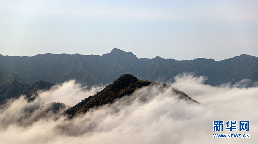 鄂西云海 水墨画卷