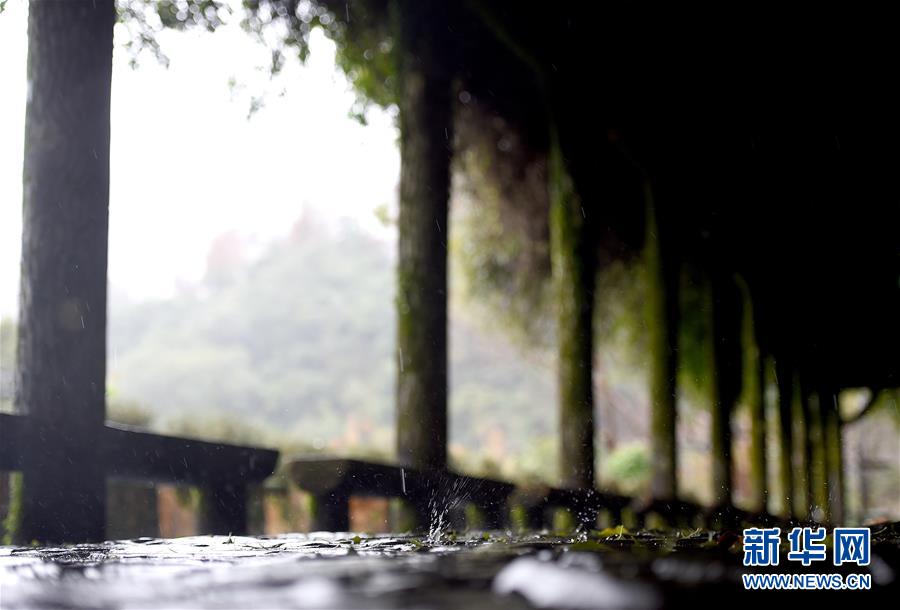 雨中踏访台北阳明山