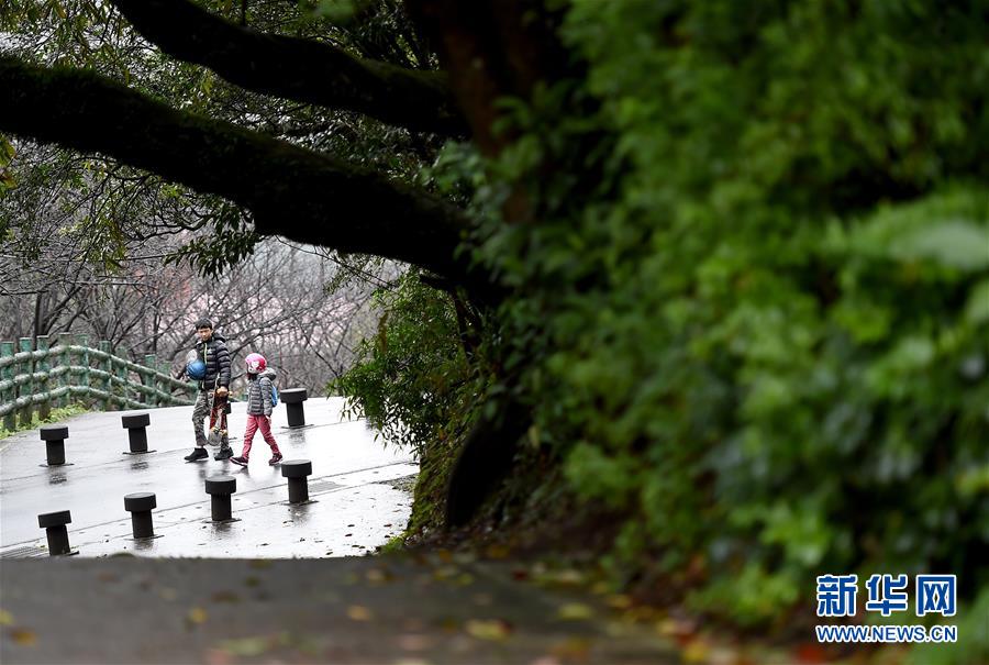 雨中踏访台北阳明山