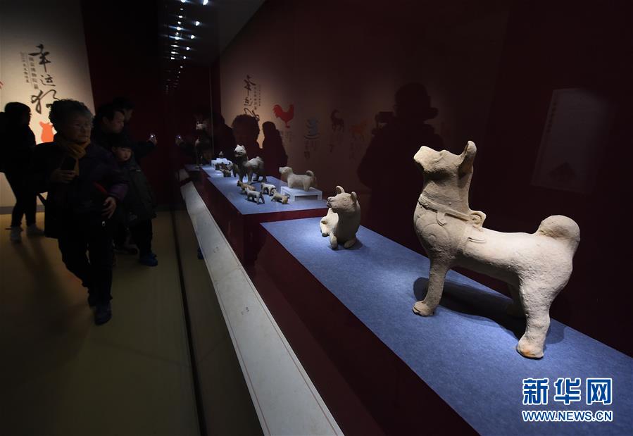 南京博物院举办“幸运狗”院藏犬文物展