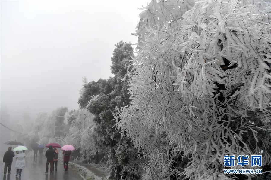 江西南昌：梅岭迎来雾凇景观