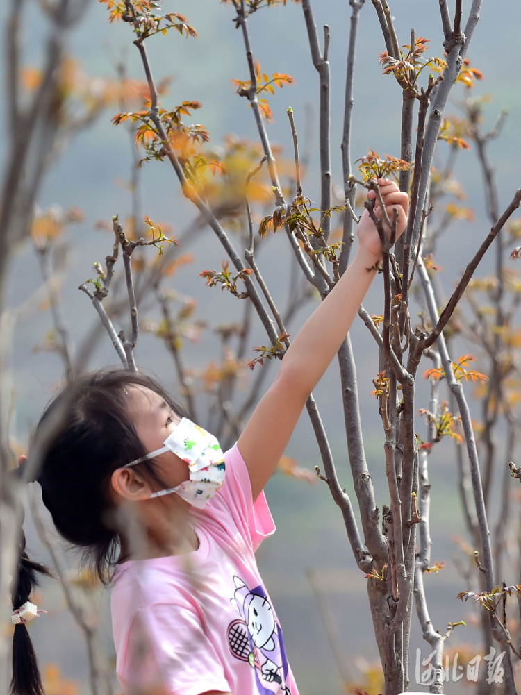 花正开 请你来 陪你在