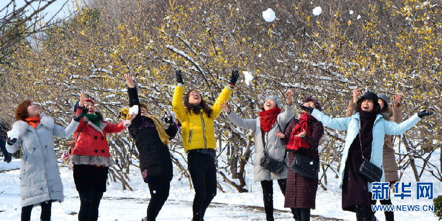 洛阳：踏雪寻梅 正当时