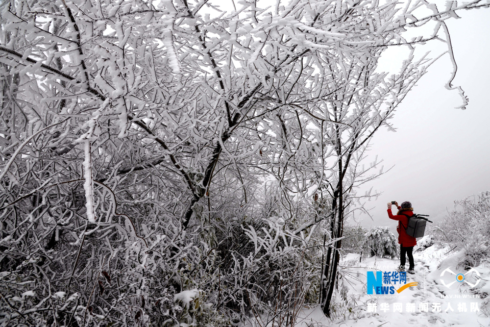 航拍瞿塘峡初雪 琼枝玉树景象壮美