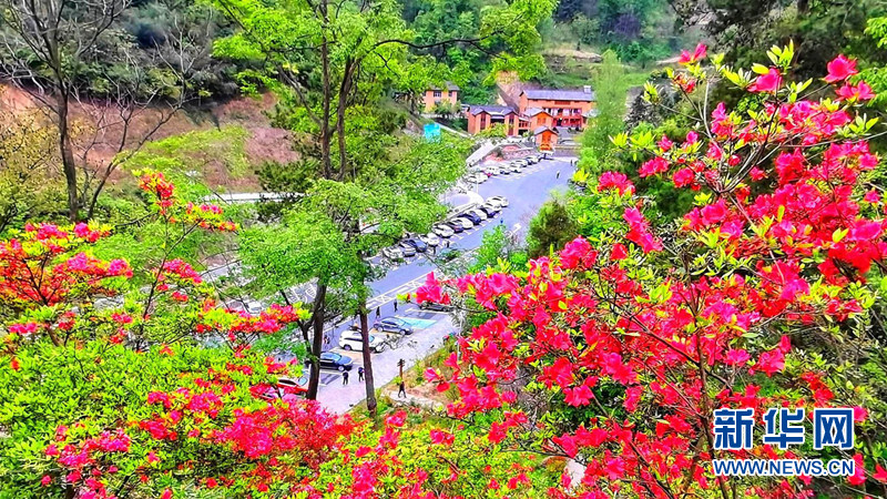 湖北茅箭：山美民富 城市后花园的蝶变之路