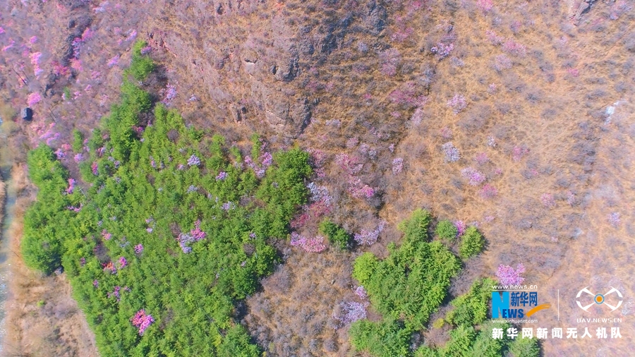 （视界图文列表）【“飞阅”中国】崆峒山下桃花“醉”春风