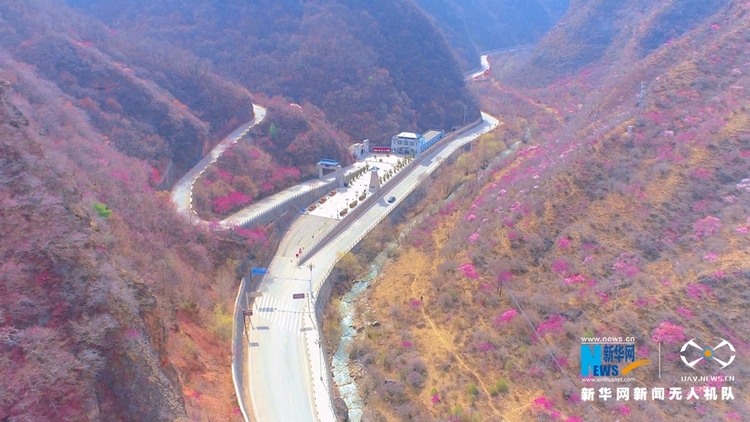 （视界图文列表）【“飞阅”中国】崆峒山下桃花“醉”春风