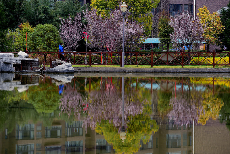 【与春天撞个满怀 打卡最美春景】河南灵宝：草长莺飞春意浓_fororder_11画中行.JPG