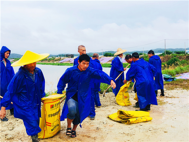 【B 有修改】【表述无误】【重点稿件，不适合再压缩】全力以赴保安澜——黄冈蕲春防汛救灾抢险工作纪实