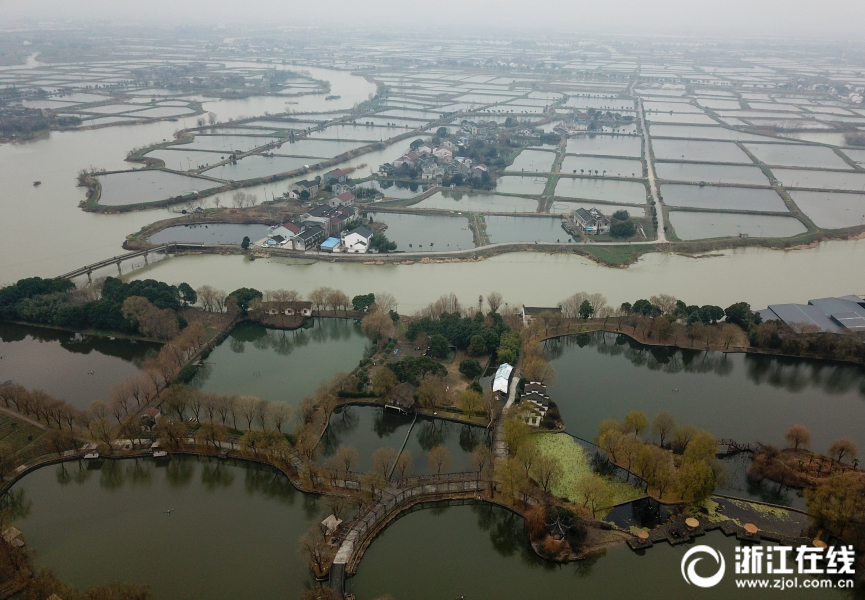 湖州：桑基鱼塘美 水乡品鱼宴