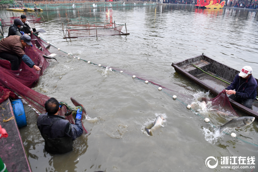 湖州：桑基鱼塘美 水乡品鱼宴