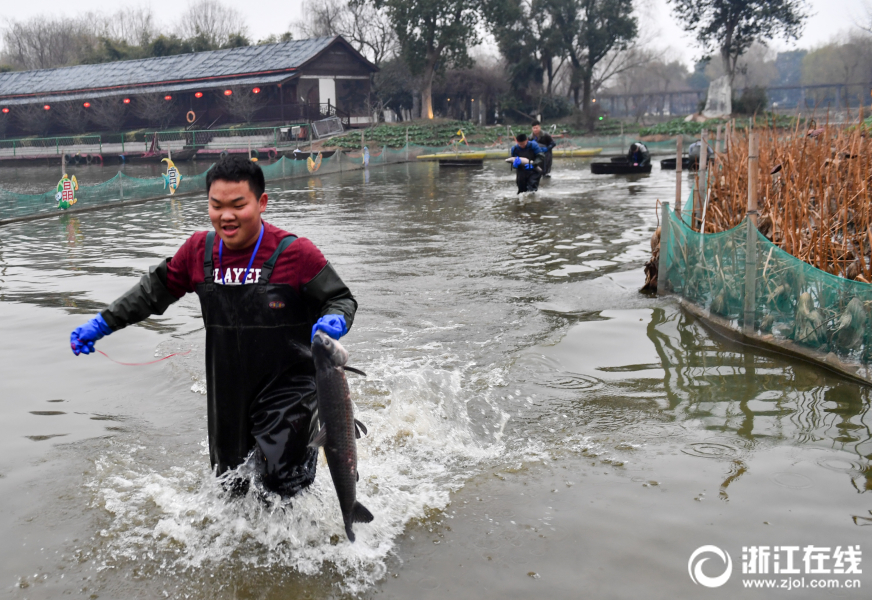 湖州：桑基鱼塘美 水乡品鱼宴