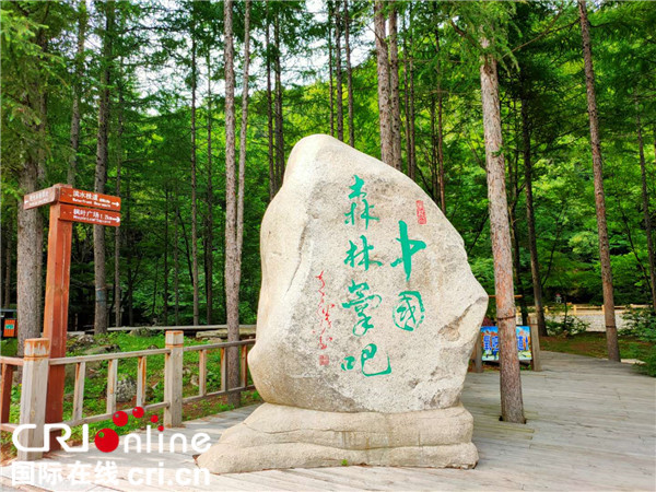 伐木工“变身”护林人 本溪枫林谷绿色转型带动脱贫致富