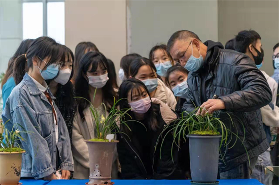 江苏现代（花卉）产业技术体系泰州示范推广基地携手美丽乡村服务团队举办兰花展_fororder_6