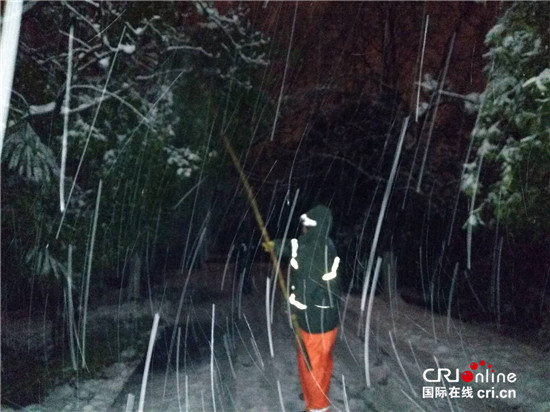 （已过审 供稿 旅游 三吴大地南京）钟山风景区值守人员雪夜坚守保护古树活化石