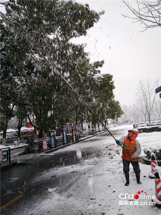 （已过审 供稿 旅游 三吴大地南京）钟山风景区值守人员雪夜坚守保护古树活化石