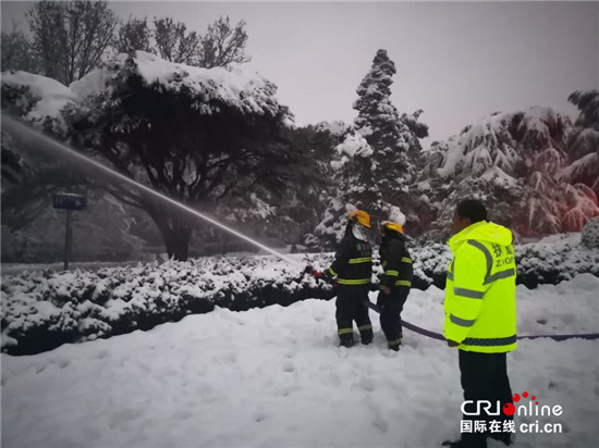 （已过审 供稿 旅游 三吴大地南京）钟山风景区值守人员雪夜坚守保护古树活化石