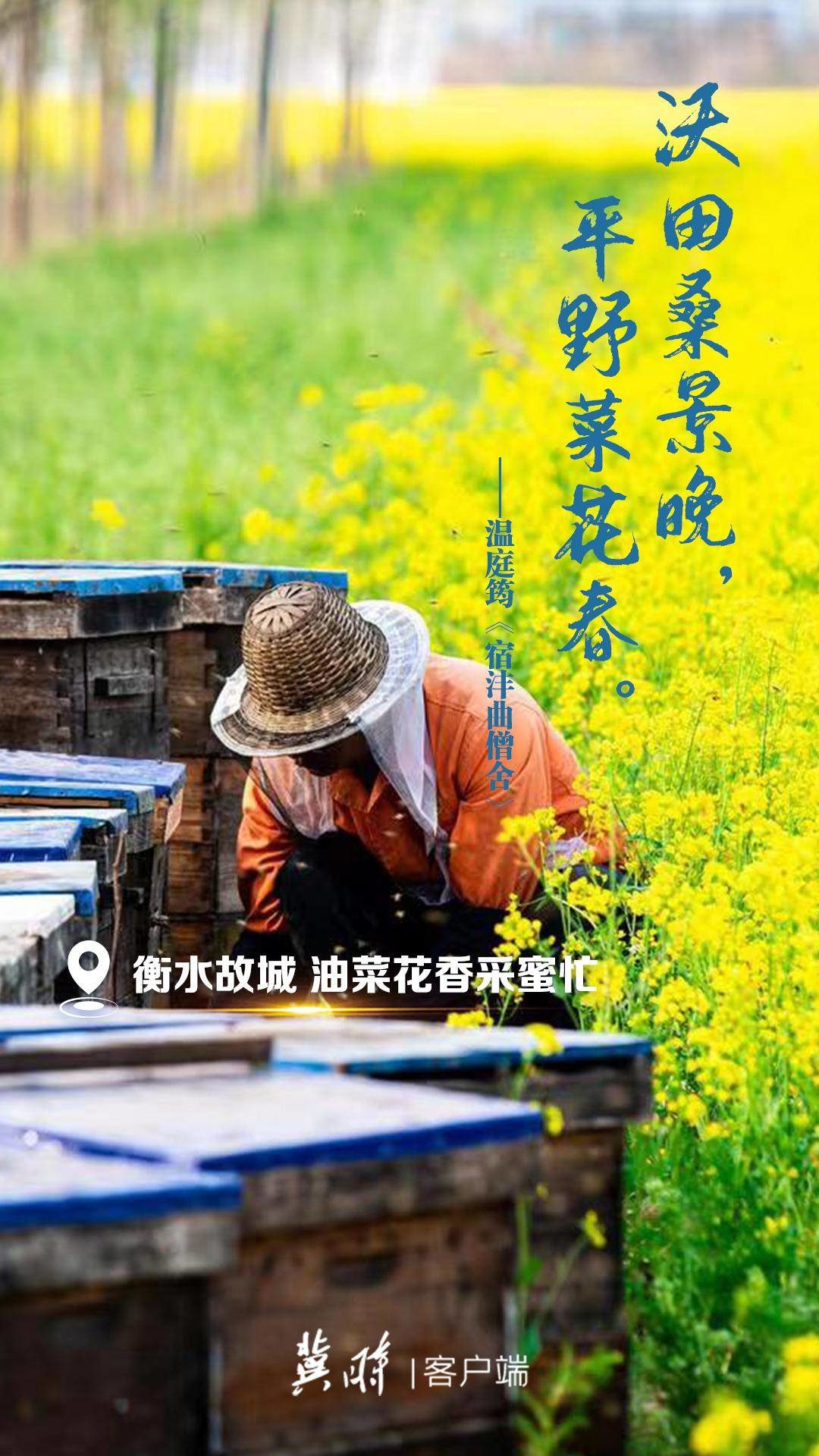 河北：一诗一花 这里有人间最美的诗意芳华