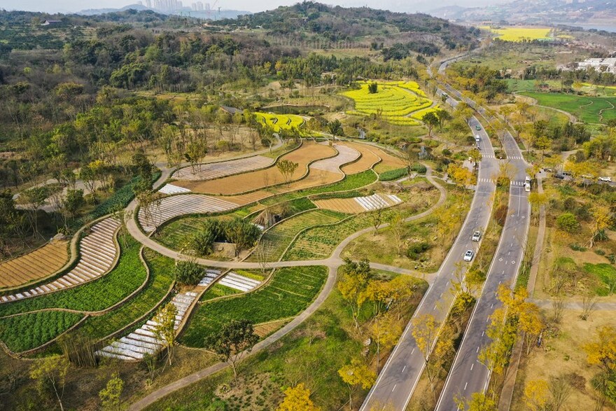 Guangyang Isle: A Demonstration of Green Development in SW China's Chongqing