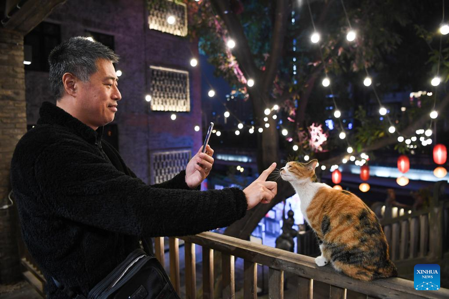 Shancheng Alley in Chongqing Full of New Vitality after Renovation