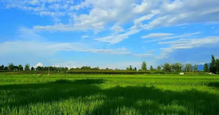 长安区：守护绿水青山 建设生态家园