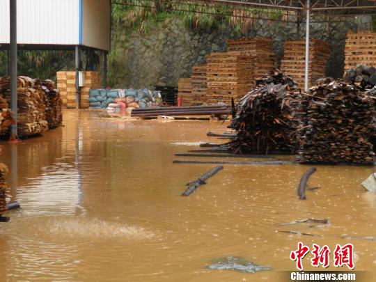 福建北部暴雨仍将持续 已转移群众11655人