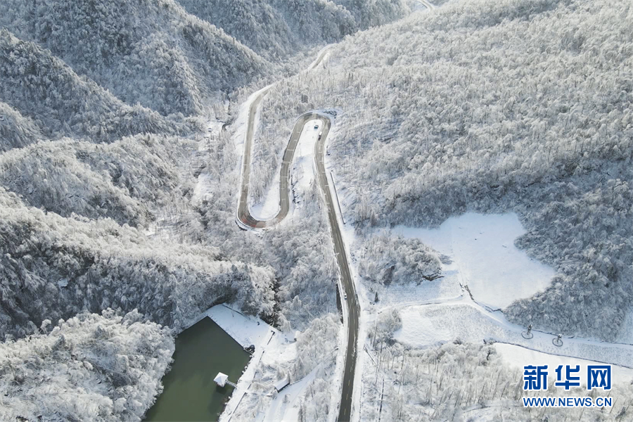 别样春光！大雪飘落神农架