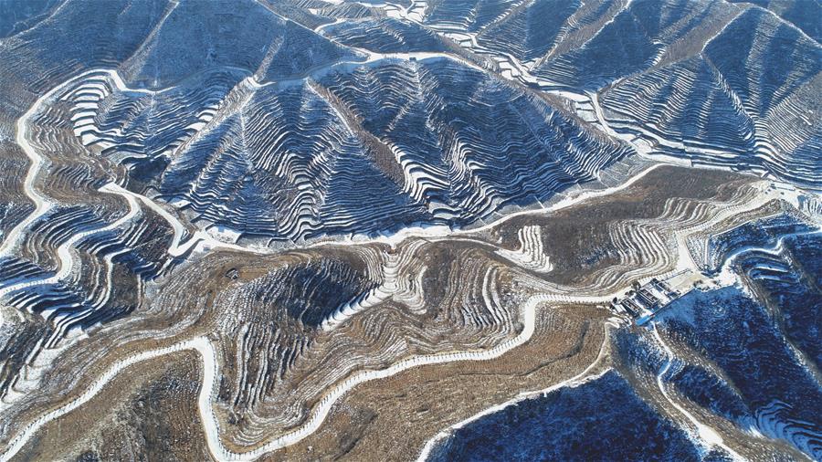 雪后梯田景如画