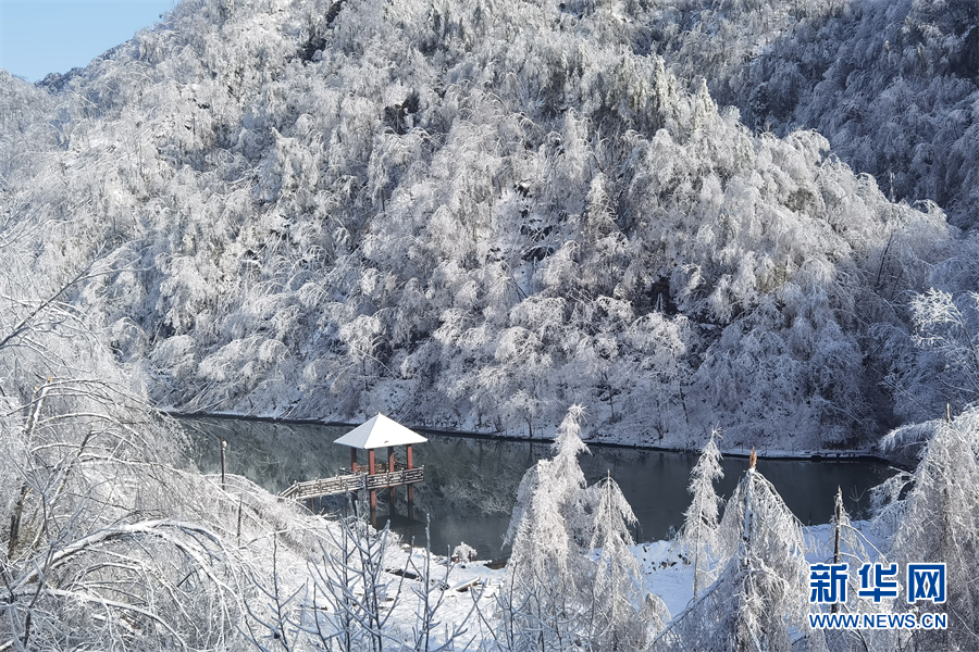 别样春光！大雪飘落神农架