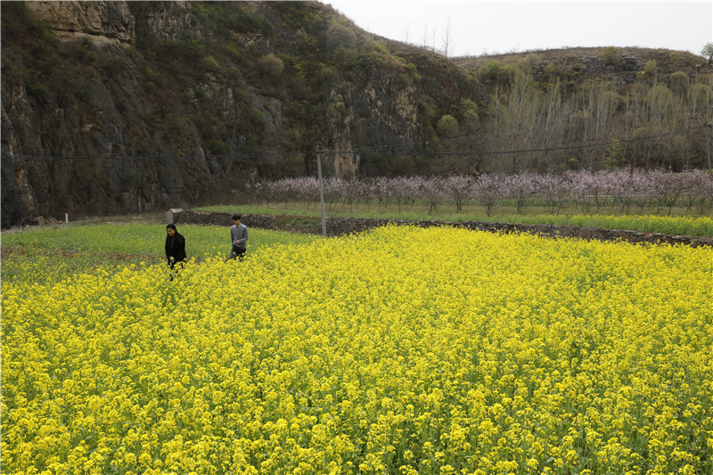 平顶山宝丰：山乡田园春景如画_fororder_1.JPG