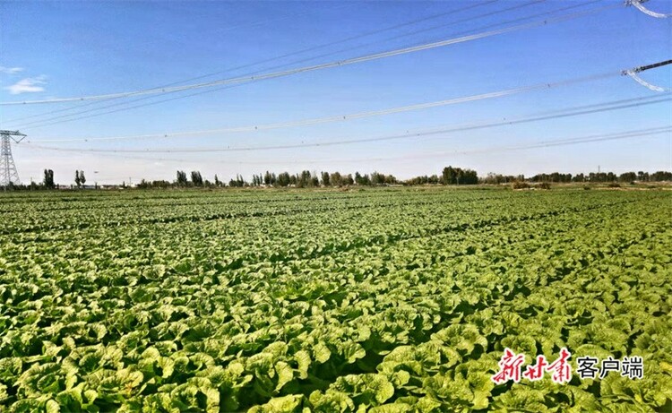 永昌：富民强县 生“菜”有道