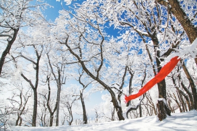 【河南 轮播图】2018“豫”见初雪