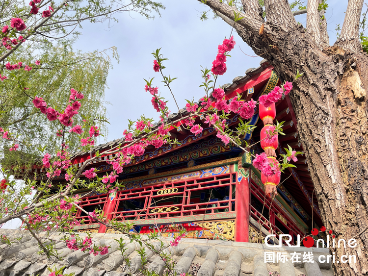 【与春天撞个满怀 打卡最美春景】陕西渭南：桃花源里桃花香 花香四溢迎客来_fororder_2