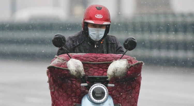 春雨润冰城