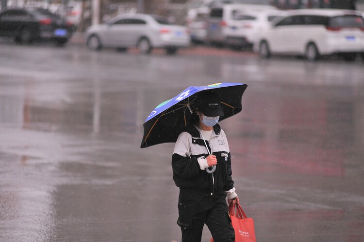 春雨润冰城