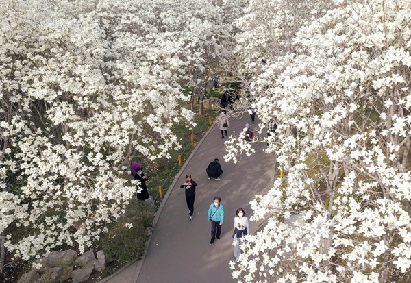 济南：一城春色半城花