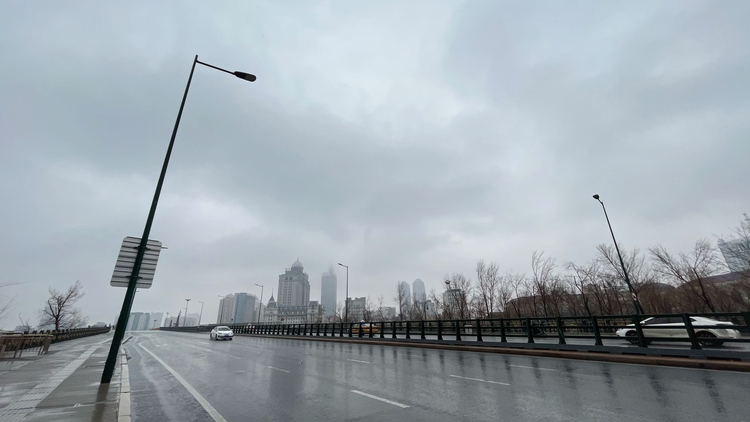 春雨润冰城