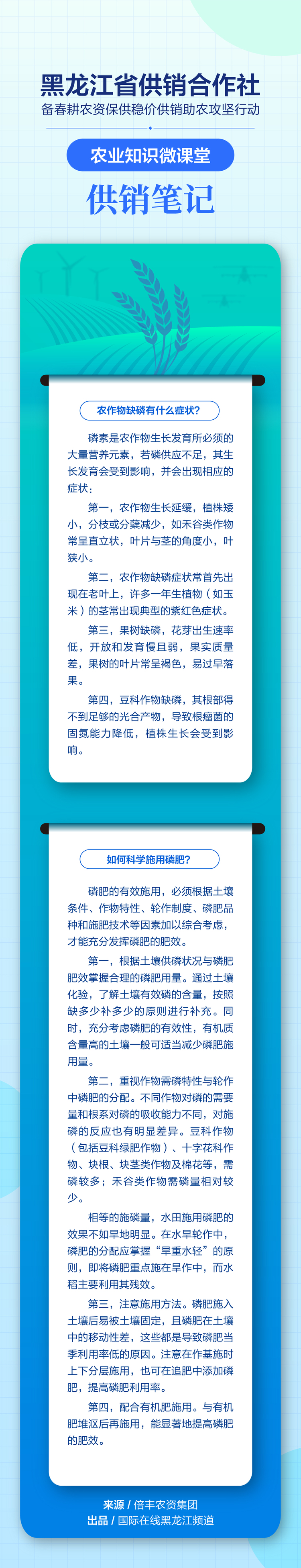 农作物缺磷有什么症状？如何科学施用磷肥？“供销笔记”为您答疑_fororder_333334