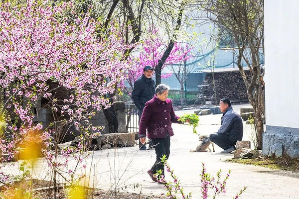 信阳罗山：红色旅游线路 串起美丽风景