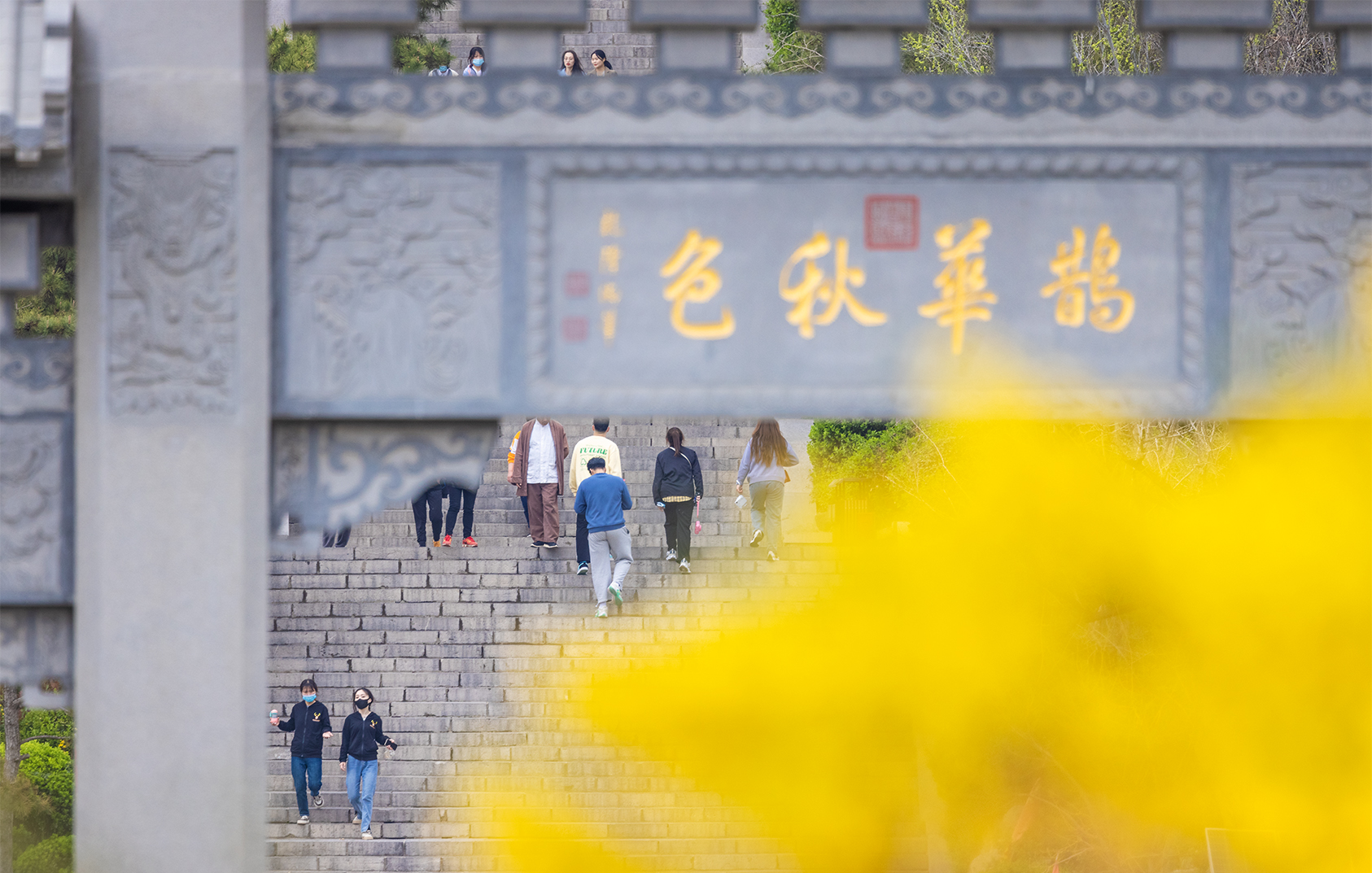 山东好景丨济南有个小华山，遍地春花撩心弦