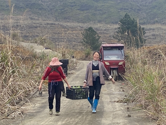 贵州独山：以商招商种植中药材 助力乡村振兴_fororder_独山2