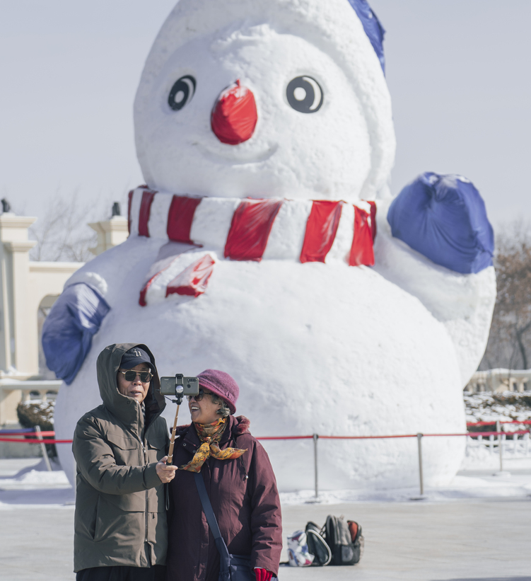 瞄准“冰雪+”，黑龙江为什么行？